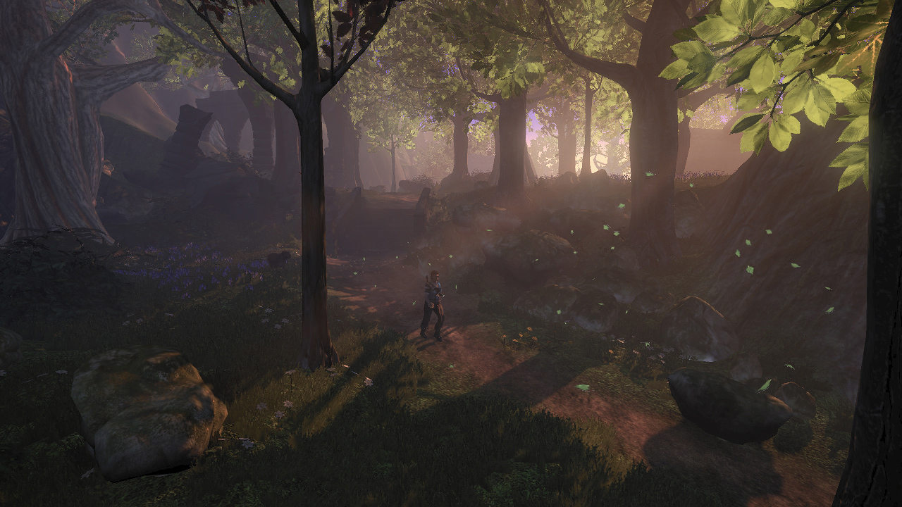 Forest_Fable2